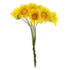 Daisy Craft Flowers (available in 2 colours)